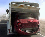 Horse Looking at Car in Back of his Trailer